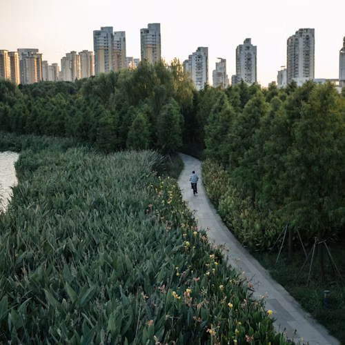 Urban Green Sanctuary