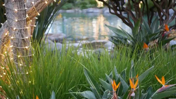 Waterwise Oasis Design